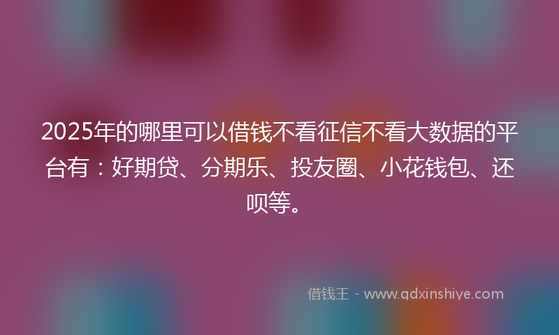 2025年的哪里可以借钱不看征信不看大数据的平台有：好期贷、分期乐、投友圈、小花钱包、还呗等。
