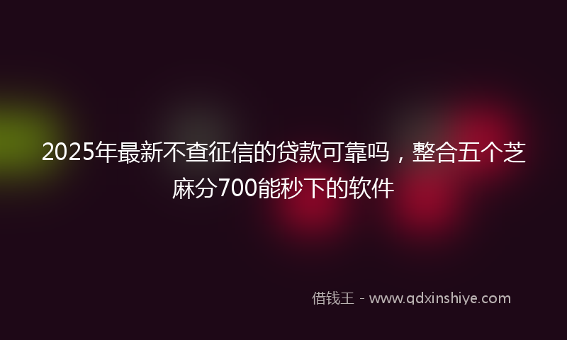 2025年最新不查征信的贷款可靠吗，整合五个芝麻分700能秒下的软件