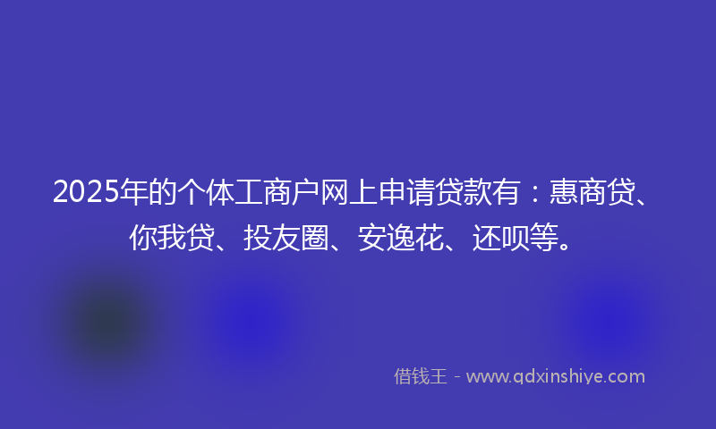 2025年的个体工商户网上申请贷款有：惠商贷、你我贷、投友圈、安逸花、还呗等。