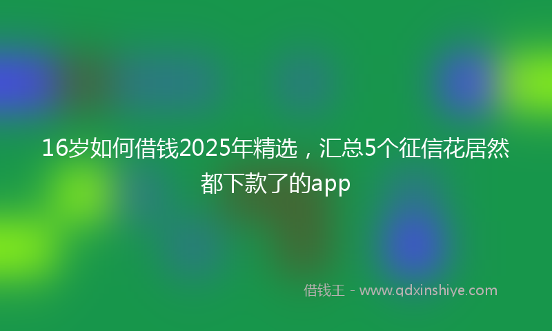 16岁如何借钱2025年精选，汇总5个征信花居然都下款了的app