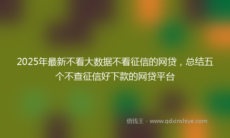 2025年最新不看大数据不看征信的网贷，总结五个不查征信好下款的网贷平台