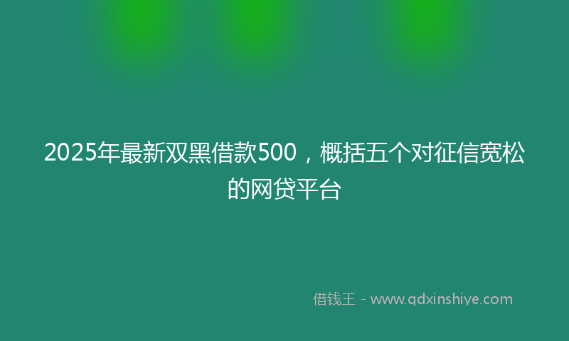 2025年最新双黑借款500，概括五个对征信宽松的网贷平台