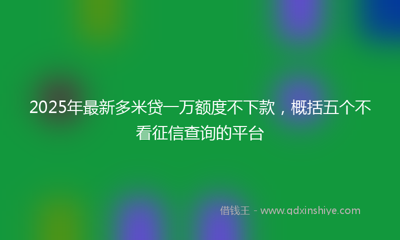 2025年最新多米贷一万额度不下款，概括五个不看征信查询的平台