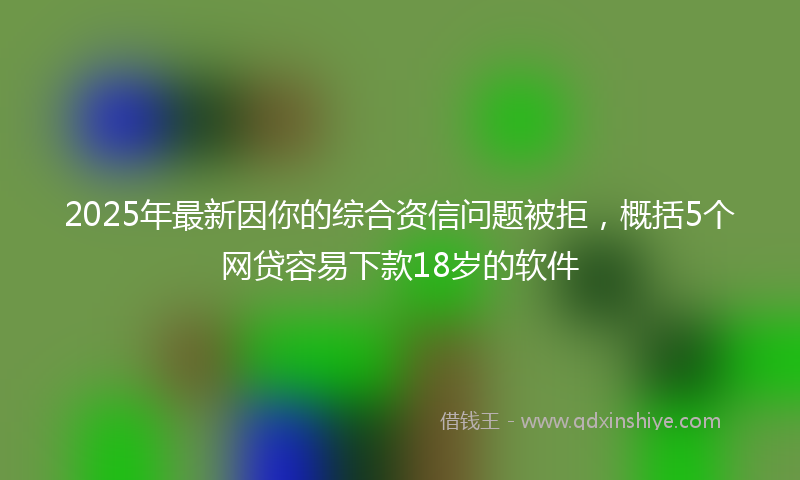 2025年最新因你的综合资信问题被拒，概括5个网贷容易下款18岁的软件