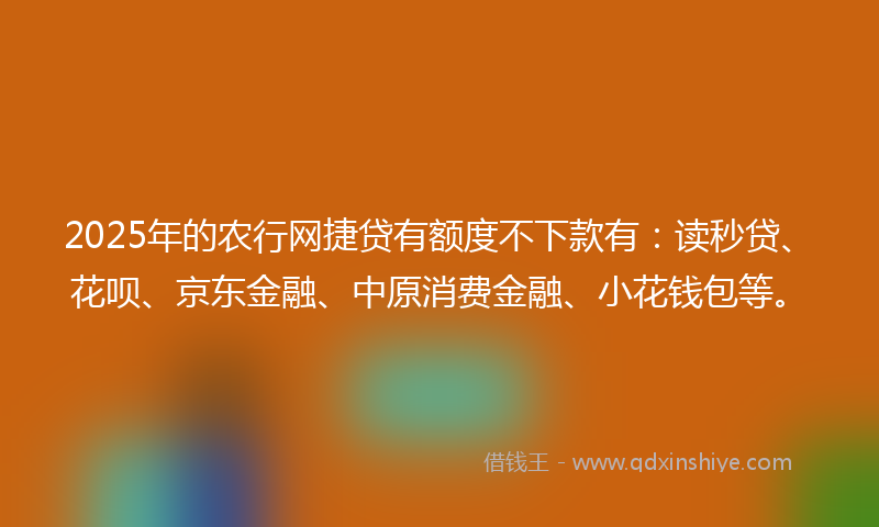 2025年的农行网捷贷有额度不下款有：读秒贷、花呗、京东金融、中原消费金融、小花钱包等。