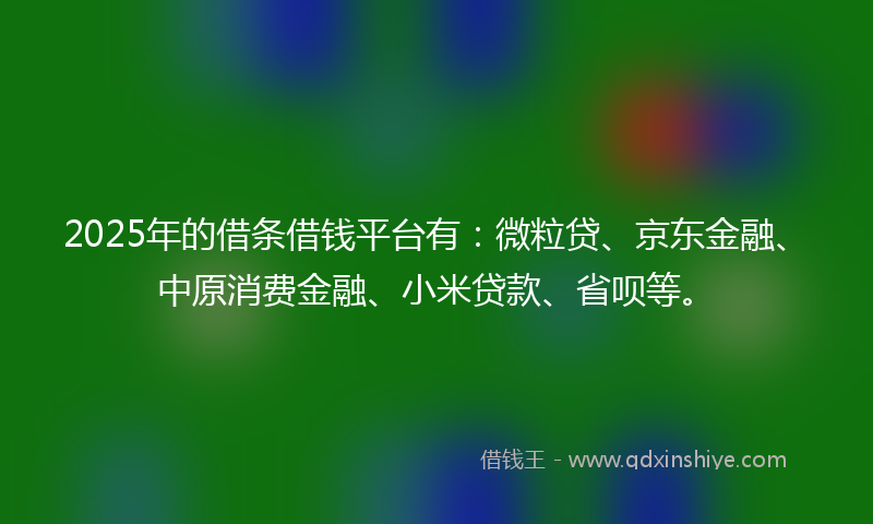 2025年的借条借钱平台有：微粒贷、京东金融、中原消费金融、小米贷款、省呗等。