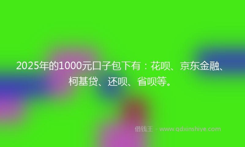 2025年的1000元口子包下有：花呗、京东金融、柯基贷、还呗、省呗等。
