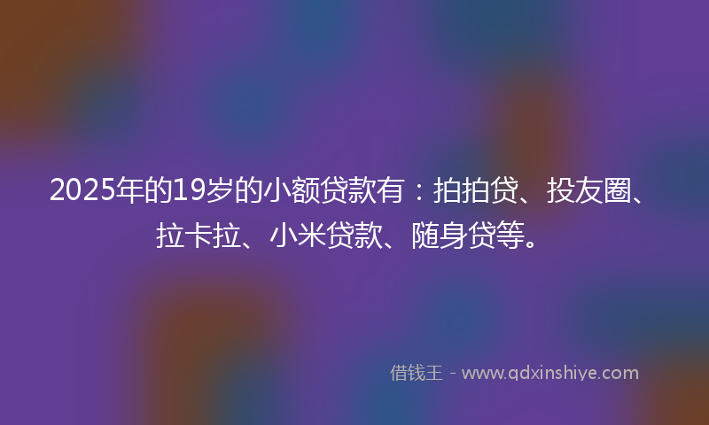 2025年的19岁的小额贷款有：拍拍贷、投友圈、拉卡拉、小米贷款、随身贷等。