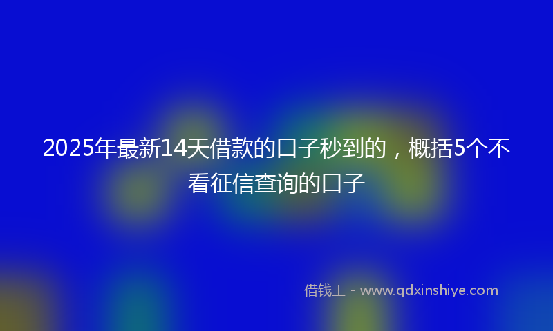 2025年最新14天借款的口子秒到的，概括5个不看征信查询的口子