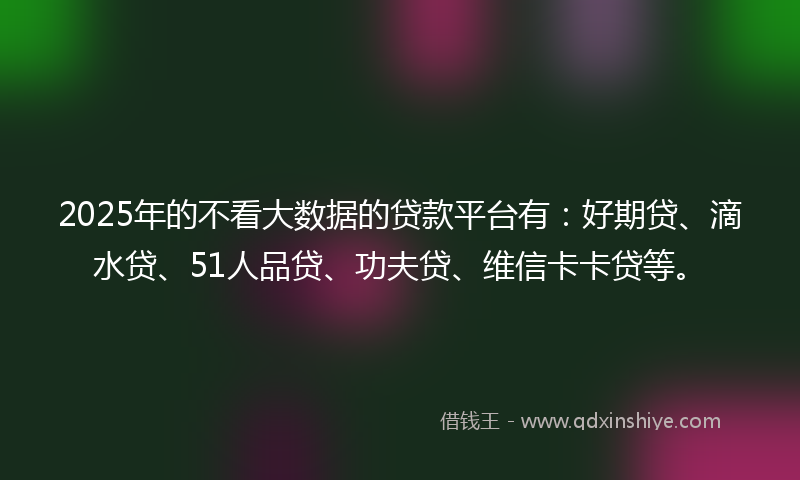 2025年的不看大数据的贷款平台有：好期贷、滴水贷、51人品贷、功夫贷、维信卡卡贷等。