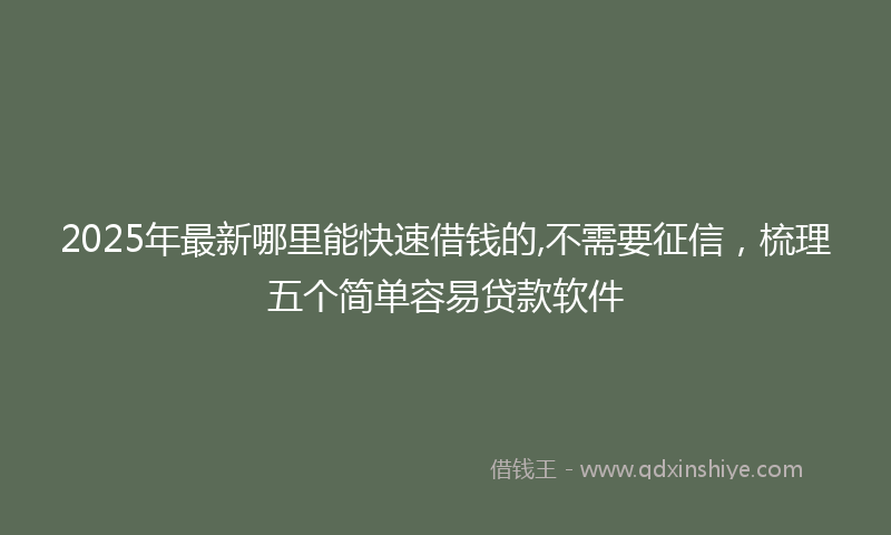 2025年最新哪里能快速借钱的,不需要征信，梳理五个简单容易贷款软件