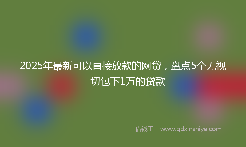 2025年最新可以直接放款的网贷，盘点5个无视一切包下1万的贷款