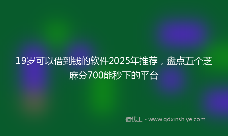 19岁可以借到钱的软件2025年推荐，盘点五个芝麻分700能秒下的平台