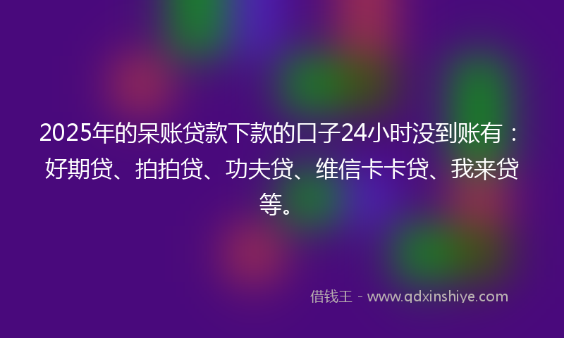 2025年的呆账贷款下款的口子24小时没到账有：好期贷、拍拍贷、功夫贷、维信卡卡贷、我来贷等。