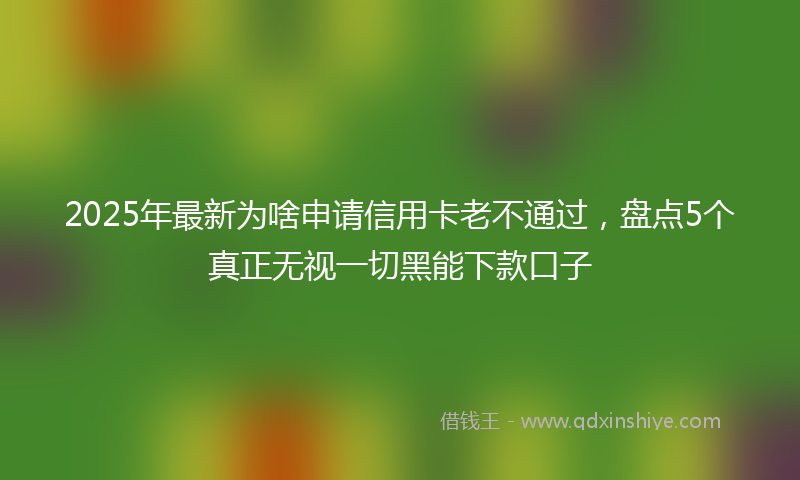 2025年最新为啥申请信用卡老不通过，盘点5个真正无视一切黑能下款口子