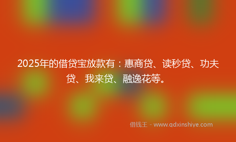 2025年的借贷宝放款有：惠商贷、读秒贷、功夫贷、我来贷、融逸花等。