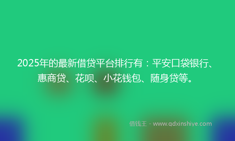 2025年的最新借贷平台排行有：平安口袋银行、惠商贷、花呗、小花钱包、随身贷等。