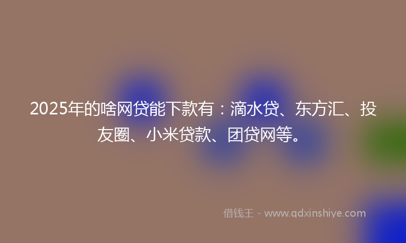 2025年的啥网贷能下款有：滴水贷、东方汇、投友圈、小米贷款、团贷网等。