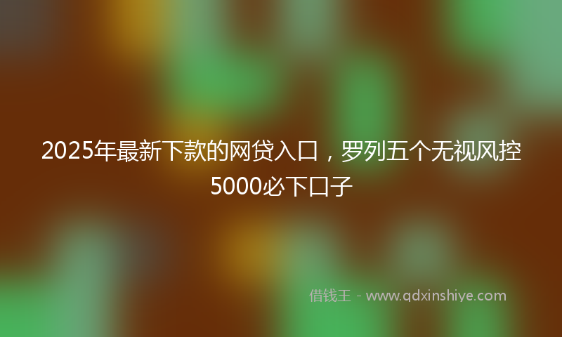 2025年最新下款的网贷入口，罗列五个无视风控5000必下口子