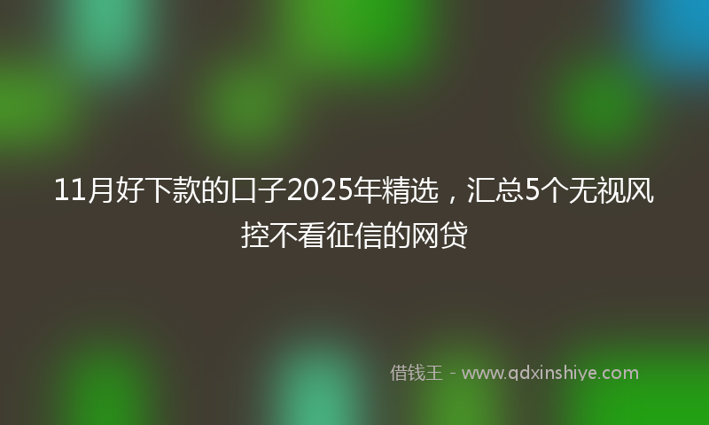 11月好下款的口子2025年精选，汇总5个无视风控不看征信的网贷
