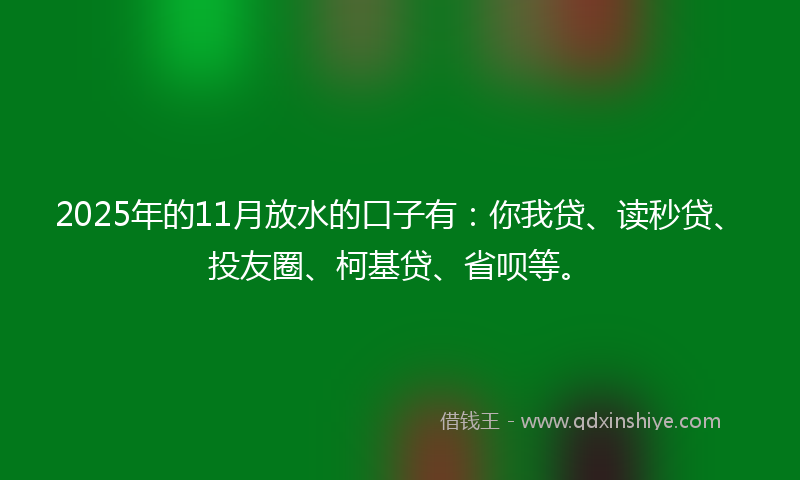 2025年的11月放水的口子有：你我贷、读秒贷、投友圈、柯基贷、省呗等。