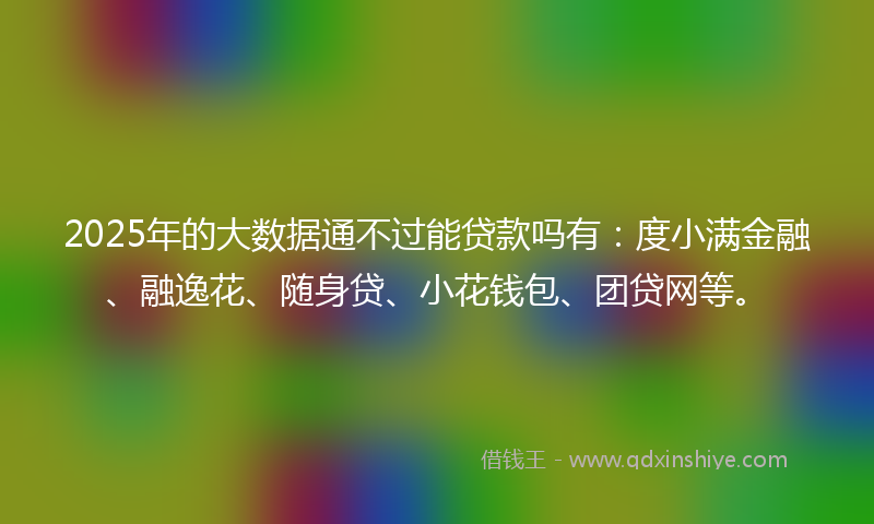 2025年的大数据通不过能贷款吗有：度小满金融、融逸花、随身贷、小花钱包、团贷网等。