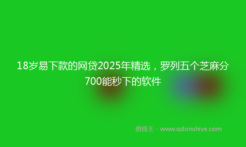 18岁易下款的网贷2025年精选，罗列五个芝麻分700能秒下的软件