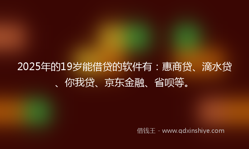 2025年的19岁能借贷的软件有：惠商贷、滴水贷、你我贷、京东金融、省呗等。