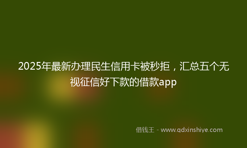 2025年最新办理民生信用卡被秒拒，汇总五个无视征信好下款的借款app
