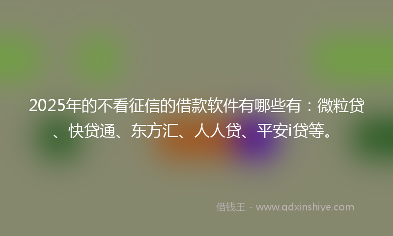 2025年的不看征信的借款软件有哪些有：微粒贷、快贷通、东方汇、人人贷、平安i贷等。