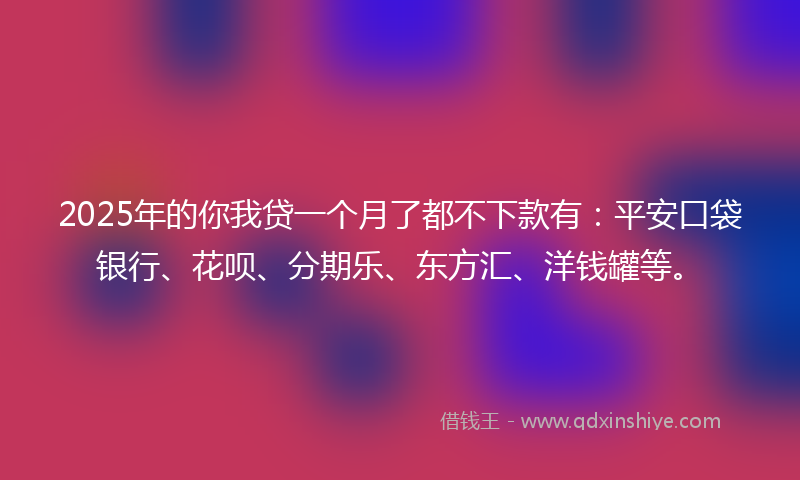 2025年的你我贷一个月了都不下款有：平安口袋银行、花呗、分期乐、东方汇、洋钱罐等。