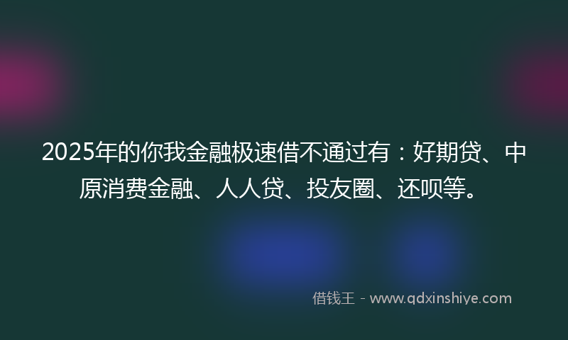 2025年的你我金融极速借不通过有：好期贷、中原消费金融、人人贷、投友圈、还呗等。