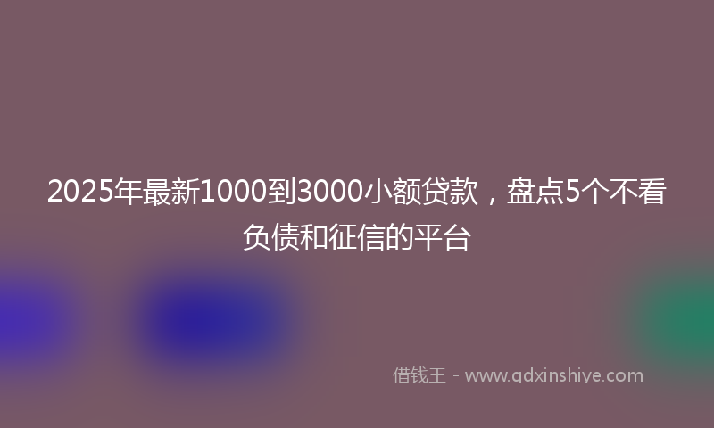 2025年最新1000到3000小额贷款，盘点5个不看负债和征信的平台