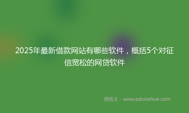 2025年最新借款网站有哪些软件，概括5个对征信宽松的网贷软件