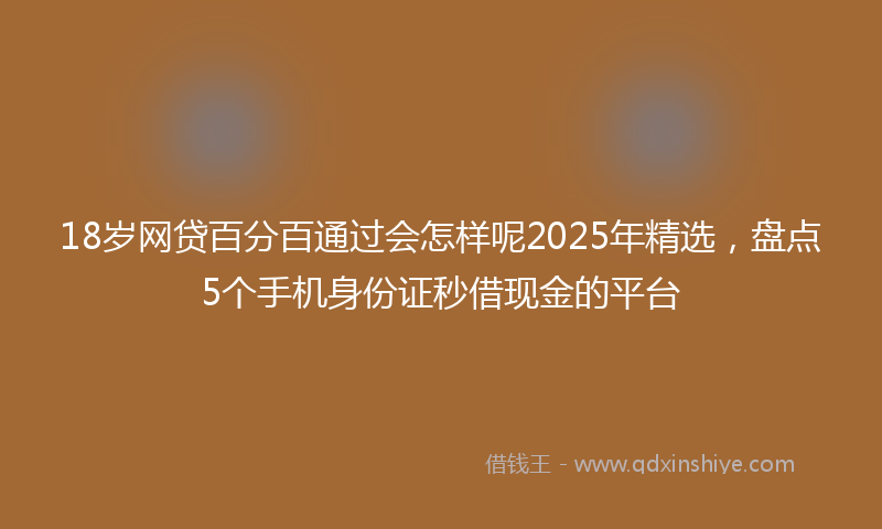 18岁网贷百分百通过会怎样呢2025年精选，盘点5个手机身份证秒借现金的平台