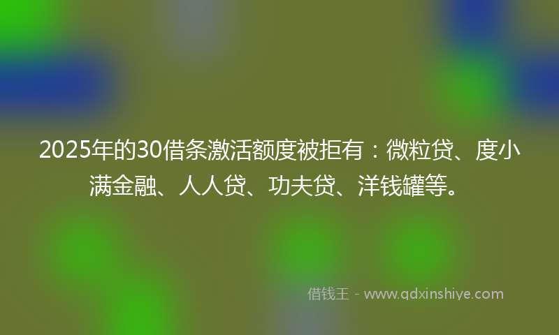 2025年的30借条激活额度被拒有：微粒贷、度小满金融、人人贷、功夫贷、洋钱罐等。