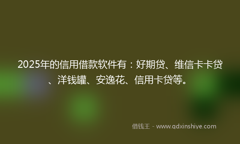 2025年的信用借款软件有：好期贷、维信卡卡贷、洋钱罐、安逸花、信用卡贷等。