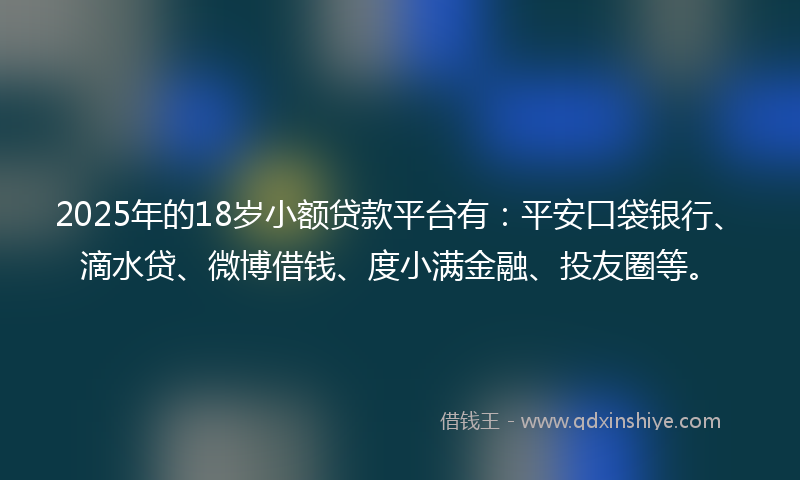 2025年的18岁小额贷款平台有：平安口袋银行、滴水贷、微博借钱、度小满金融、投友圈等。
