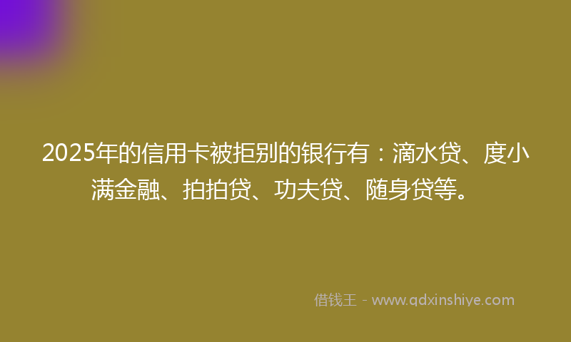 2025年的信用卡被拒别的银行有：滴水贷、度小满金融、拍拍贷、功夫贷、随身贷等。