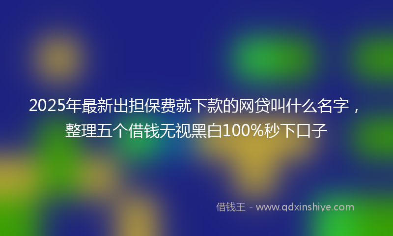 2025年最新出担保费就下款的网贷叫什么名字，整理五个借钱无视黑白100%秒下口子