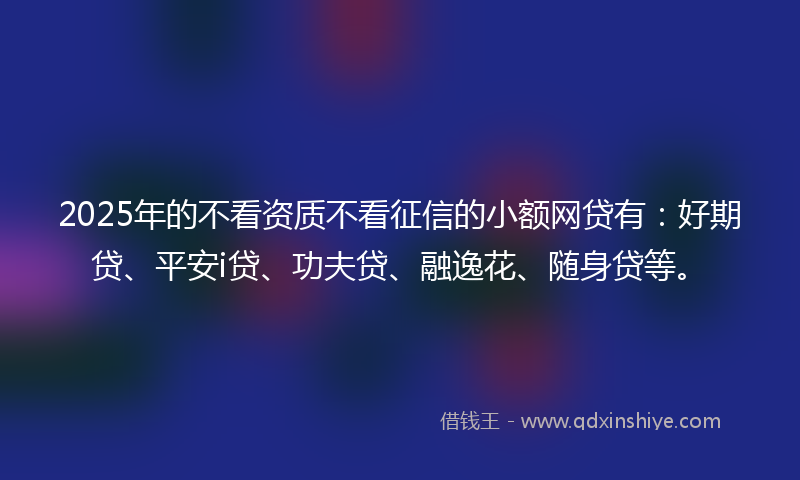 2025年的不看资质不看征信的小额网贷有：好期贷、平安i贷、功夫贷、融逸花、随身贷等。