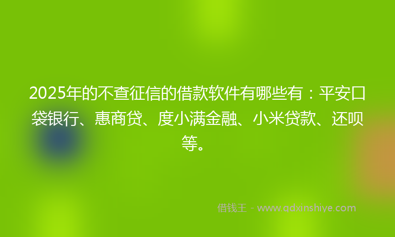 2025年的不查征信的借款软件有哪些有：平安口袋银行、惠商贷、度小满金融、小米贷款、还呗等。
