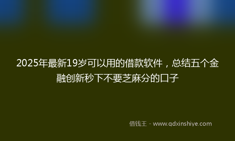 2025年最新19岁可以用的借款软件，总结五个金融创新秒下不要芝麻分的口子