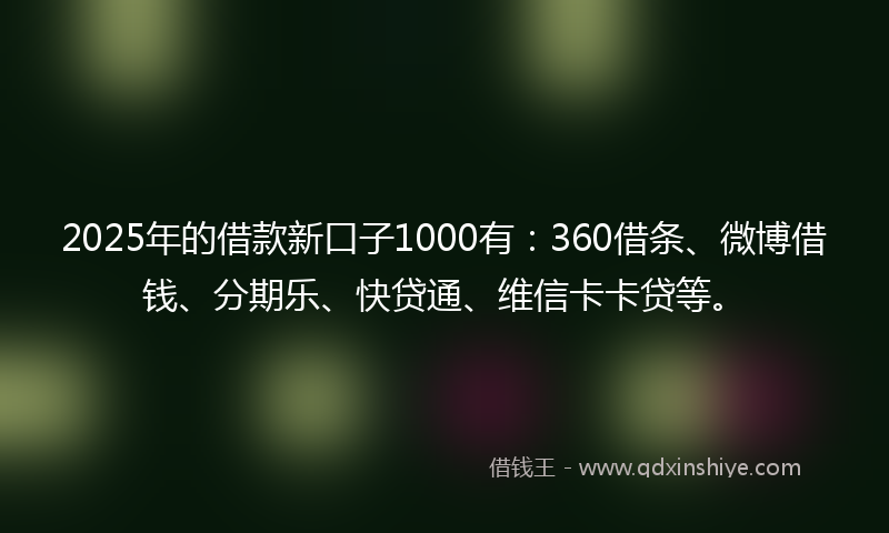 2025年的借款新口子1000有：360借条、微博借钱、分期乐、快贷通、维信卡卡贷等。