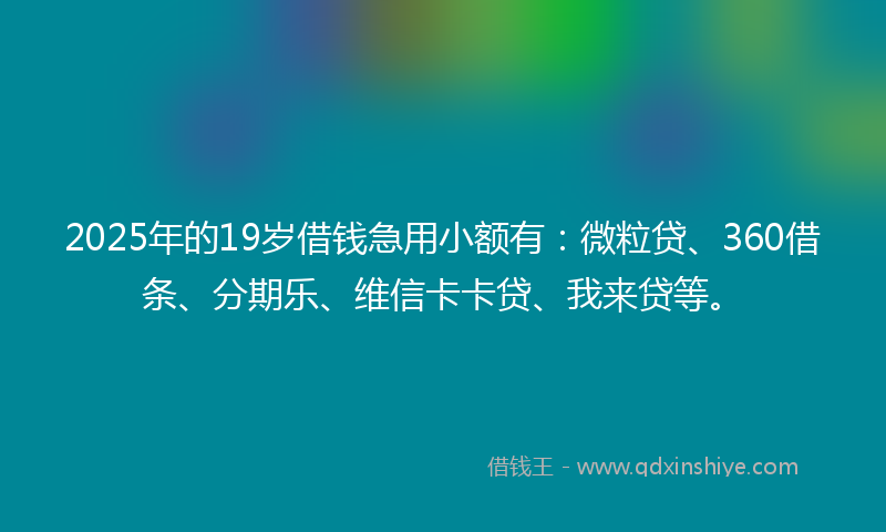 2025年的19岁借钱急用小额有：微粒贷、360借条、分期乐、维信卡卡贷、我来贷等。