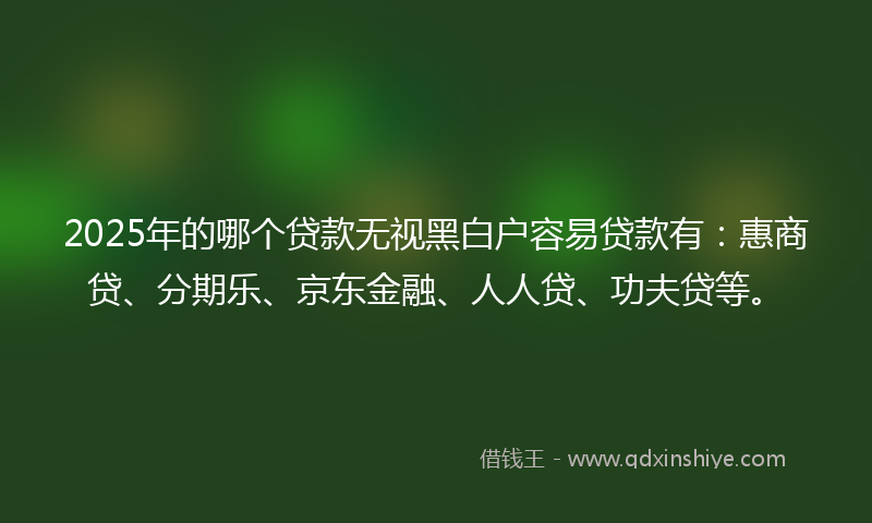 2025年的哪个贷款无视黑白户容易贷款有：惠商贷、分期乐、京东金融、人人贷、功夫贷等。