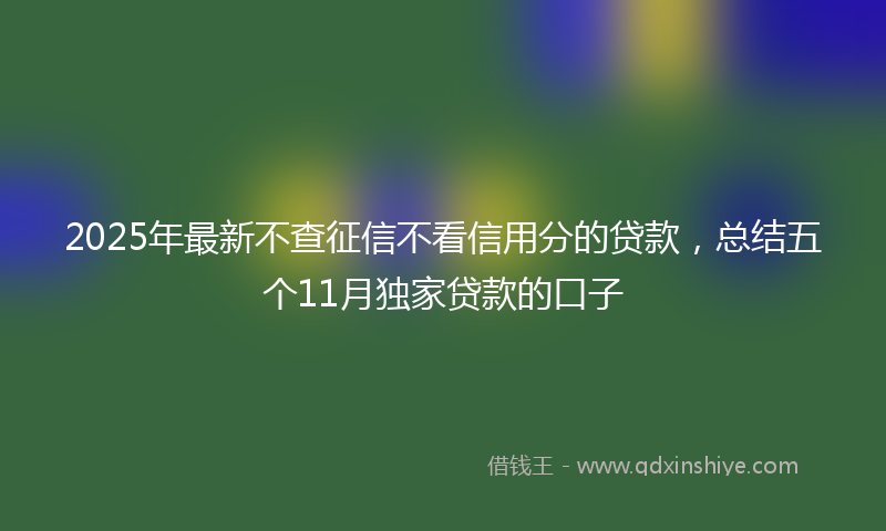 2025年最新不查征信不看信用分的贷款，总结五个11月独家贷款的口子