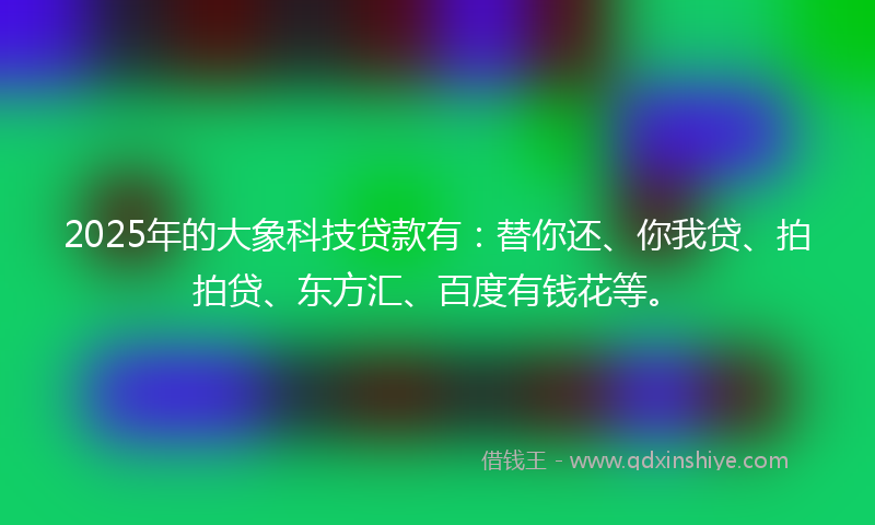 2025年的大象科技贷款有：替你还、你我贷、拍拍贷、东方汇、百度有钱花等。