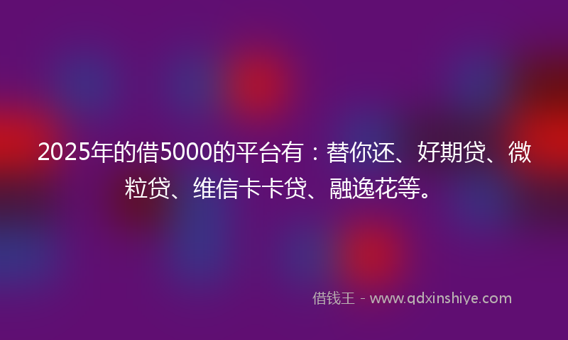 2025年的借5000的平台有：替你还、好期贷、微粒贷、维信卡卡贷、融逸花等。
