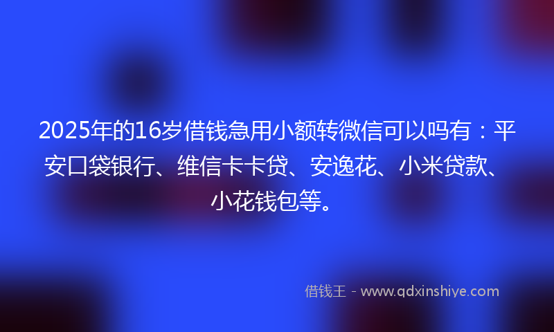 2025年的16岁借钱急用小额转微信可以吗有：平安口袋银行、维信卡卡贷、安逸花、小米贷款、小花钱包等。